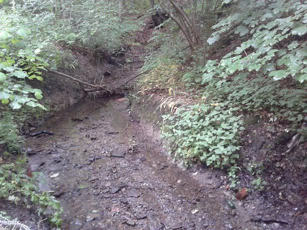 2012-06-20194631.jpg