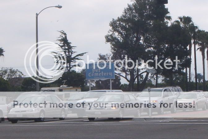 cali021.jpg
