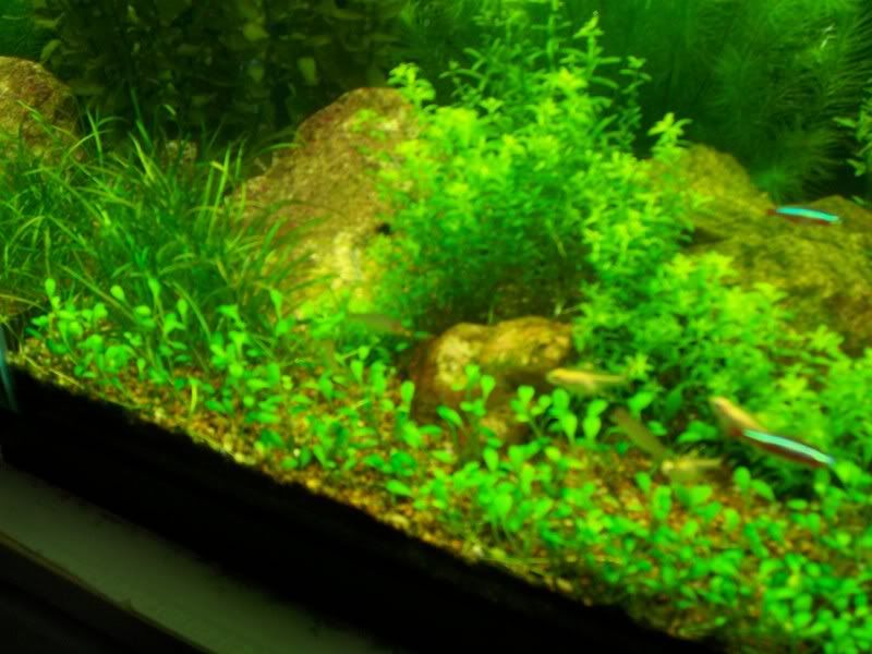 100_2326.jpg