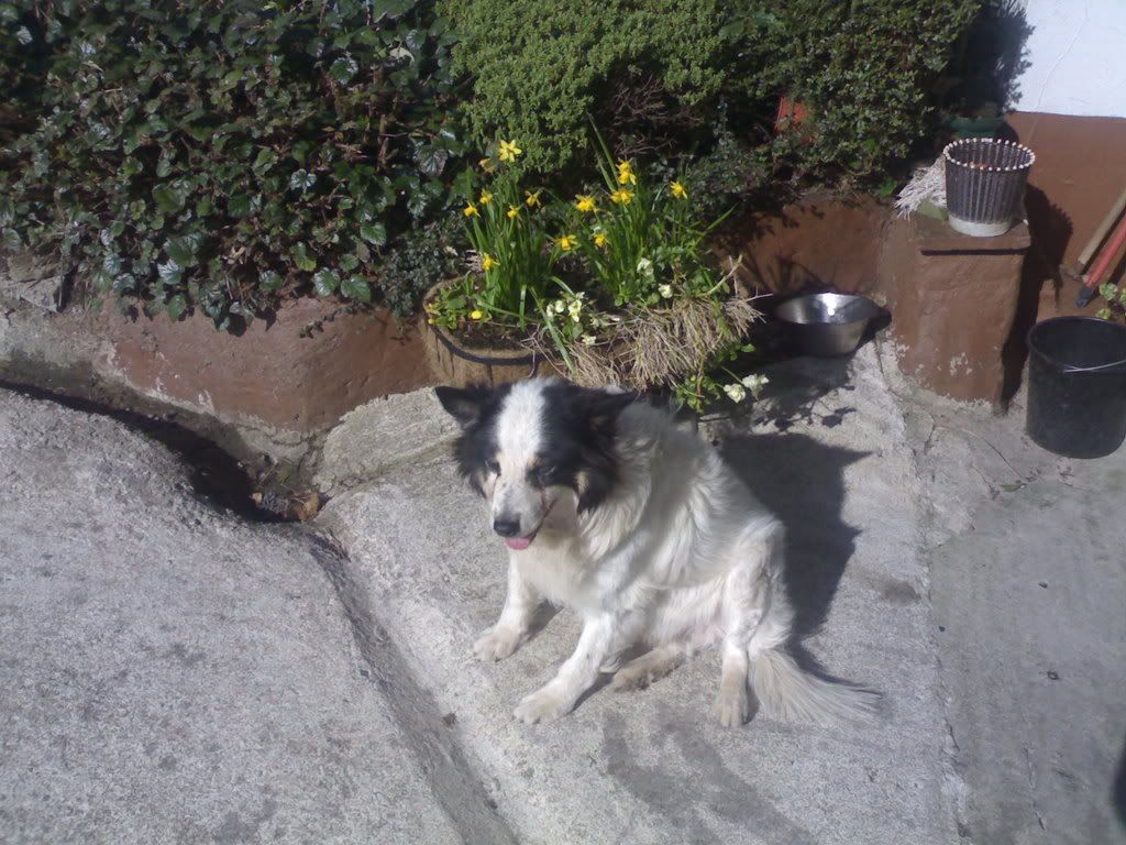 22032008234.jpg
