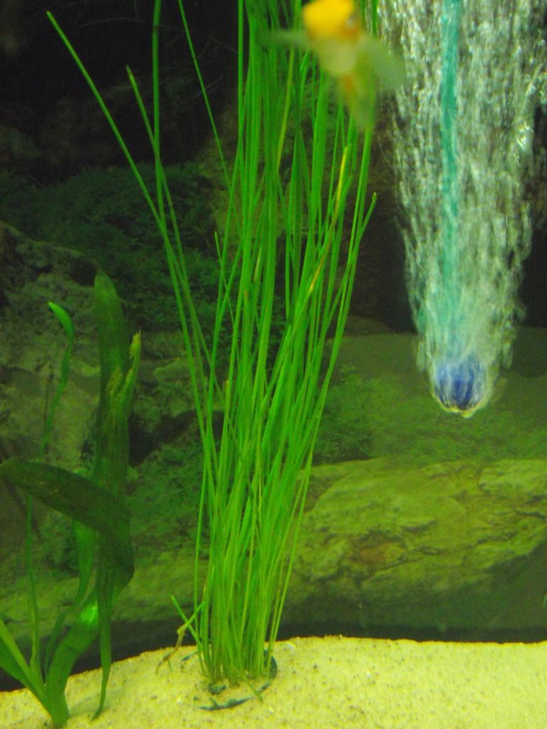 DSCF0214.jpg