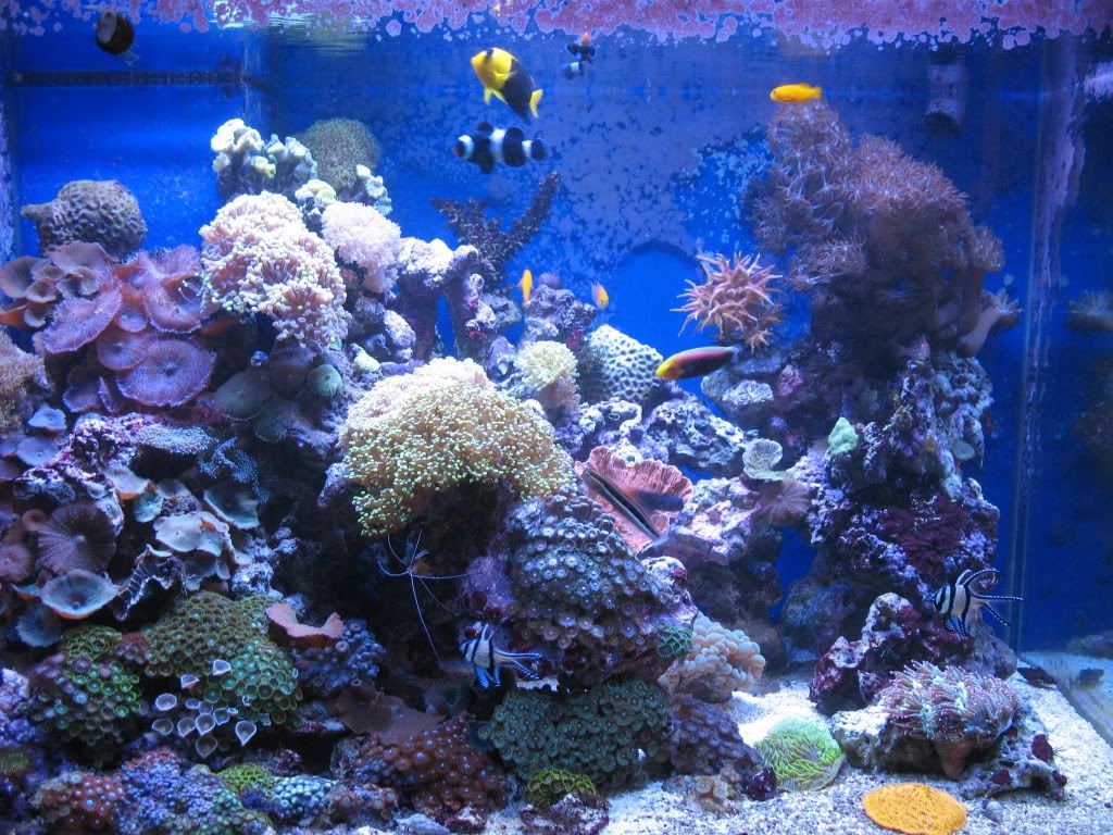IMG_2128.jpg