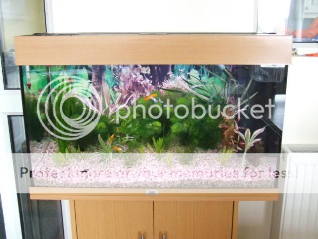 DSCF2329.jpg