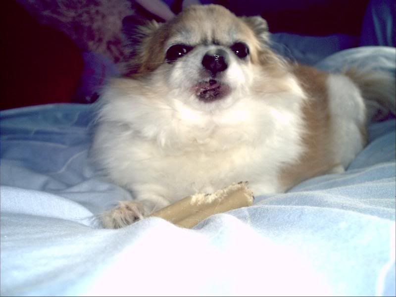 Picture023.jpg