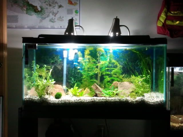 2012-03-07160231.jpg