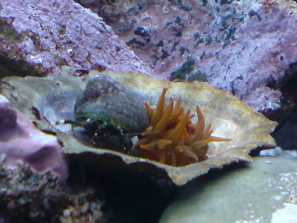 DSC00609.jpg