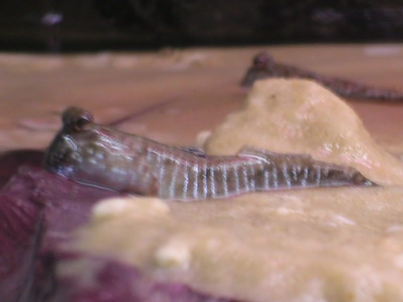 DSCN2981.jpg