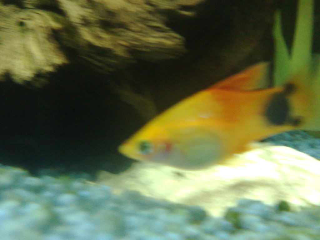 28042008007.jpg