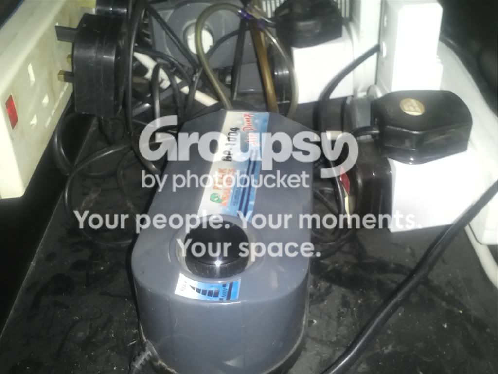 IMG222_zps7f1b1efc.jpg