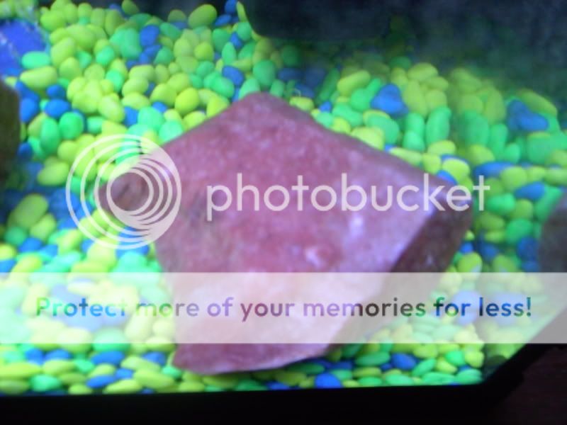 ImportedPhotos00003.jpg