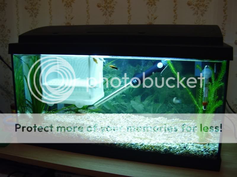 SmallTank62-63litre.jpg