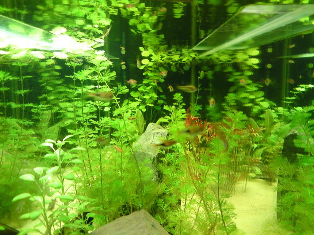 DSC00377.jpg