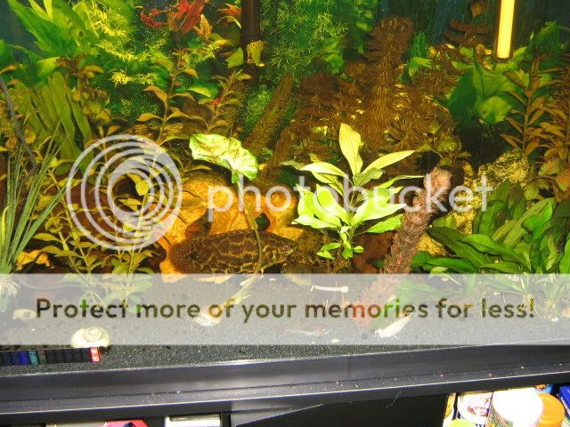 IMG_2285.jpg