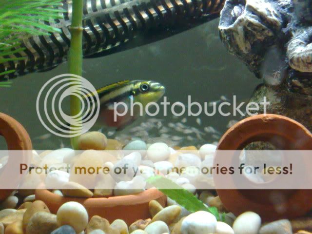 20122008014.jpg