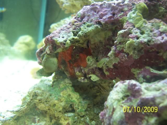 100_7123.jpg