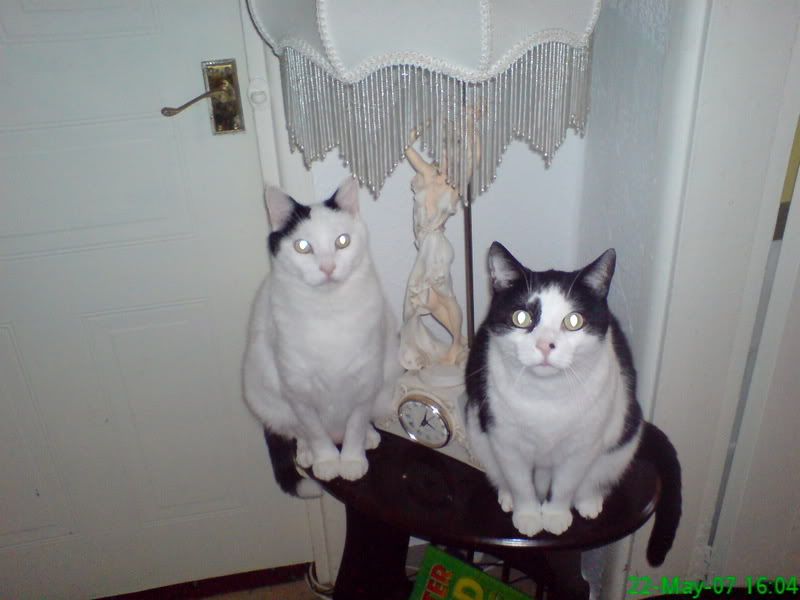 DSC00206.jpg