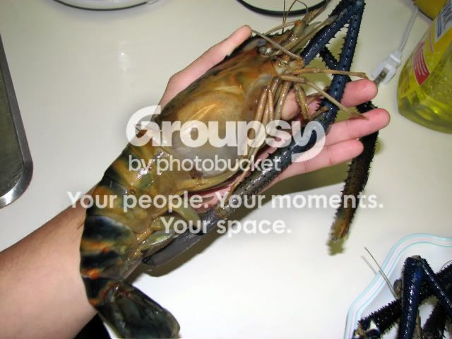 giantriverprawn.jpg