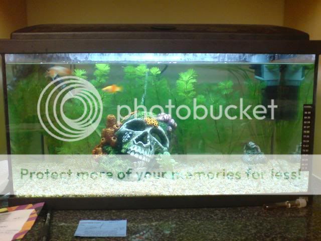 DSC00180.jpg