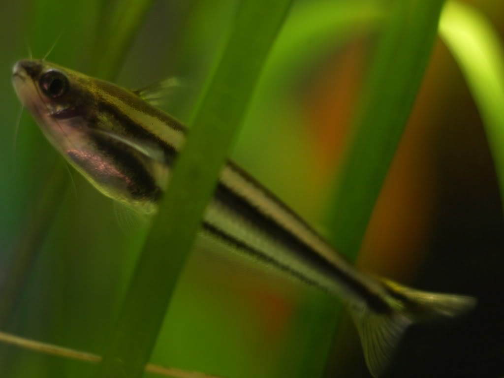 P1020003.jpg