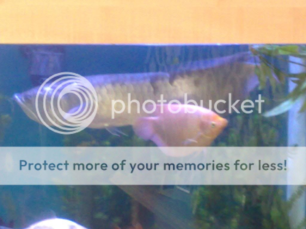 21042009214.jpg