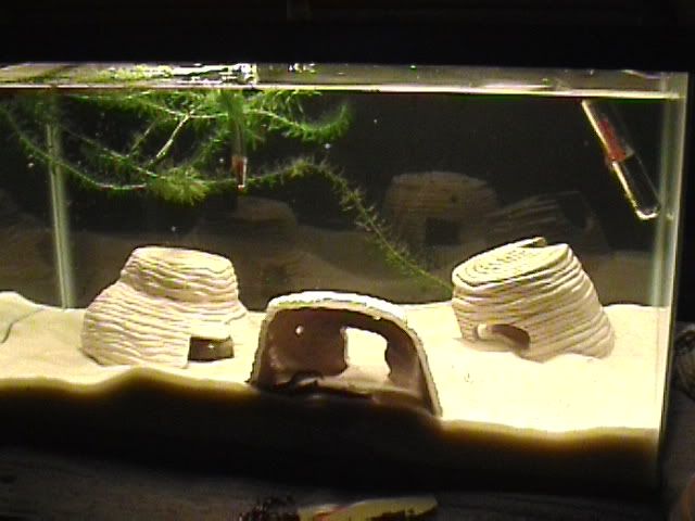 DVC01209.jpg