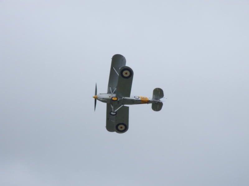 DSCF3896.jpg
