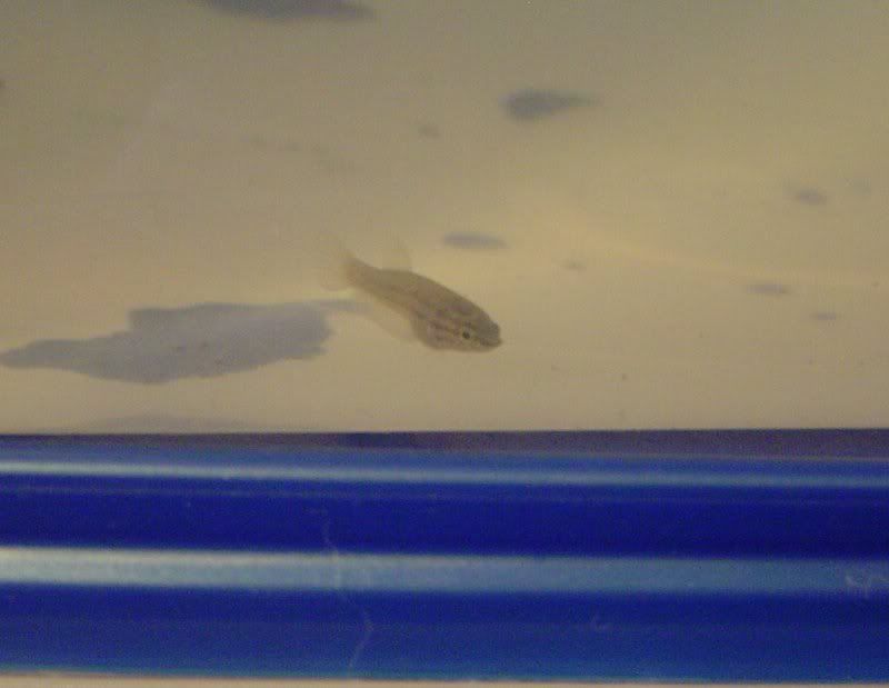 Picture0961.jpg