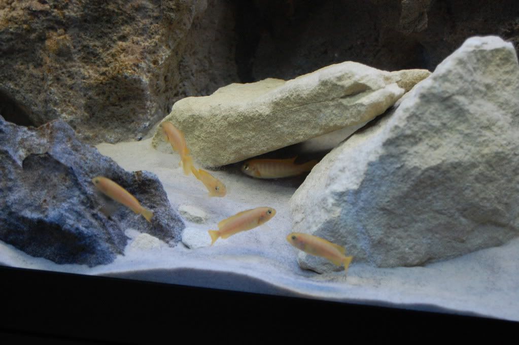 DSC_0238.jpg