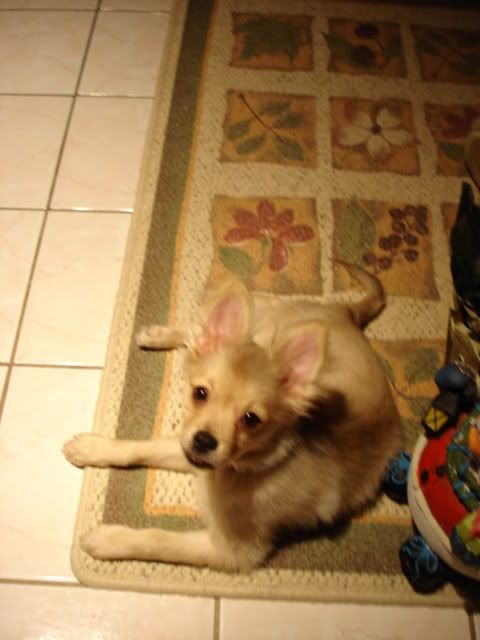 Christmas05002.jpg