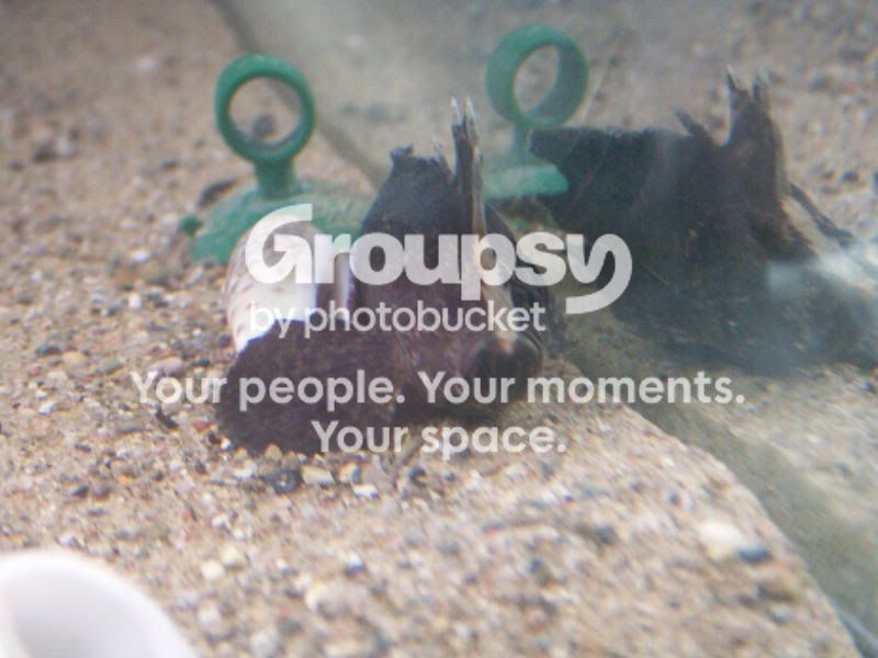 PICT0115.jpg