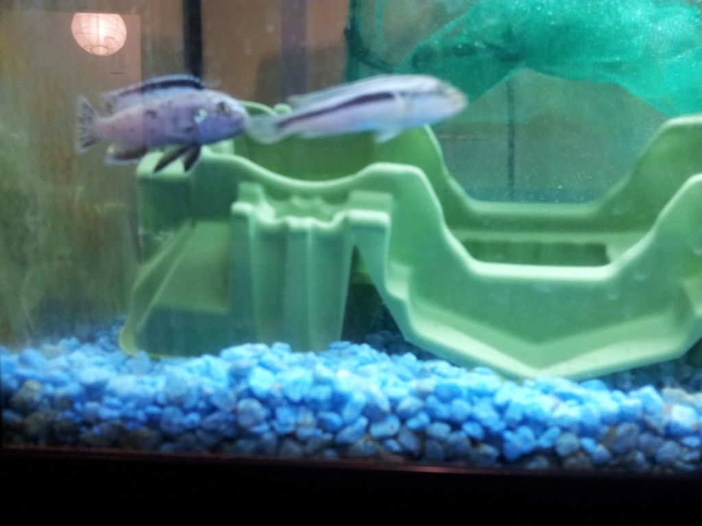 20120708_003207.jpg