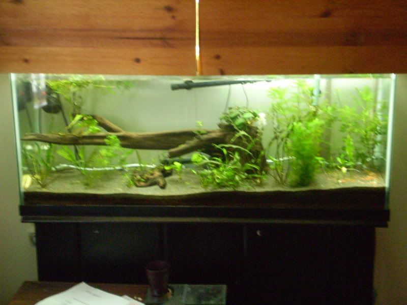P9020117.jpg
