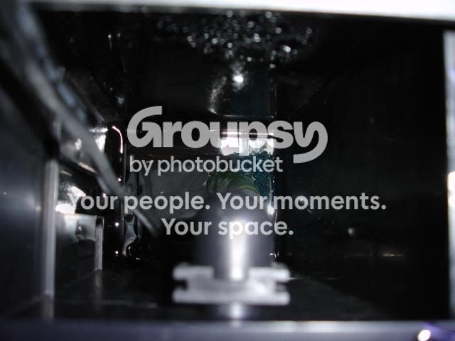 DSC04240.jpg