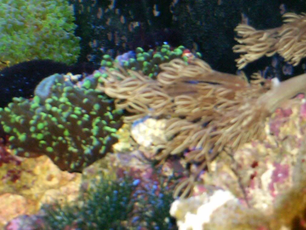 HPIM0547.jpg
