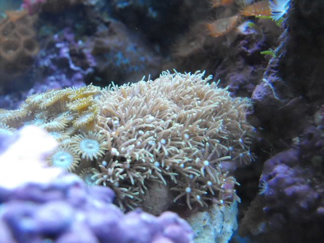DSCF3431.jpg