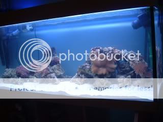 DSCF0153.jpg
