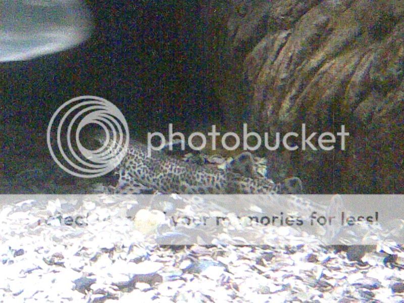 18072006025.jpg