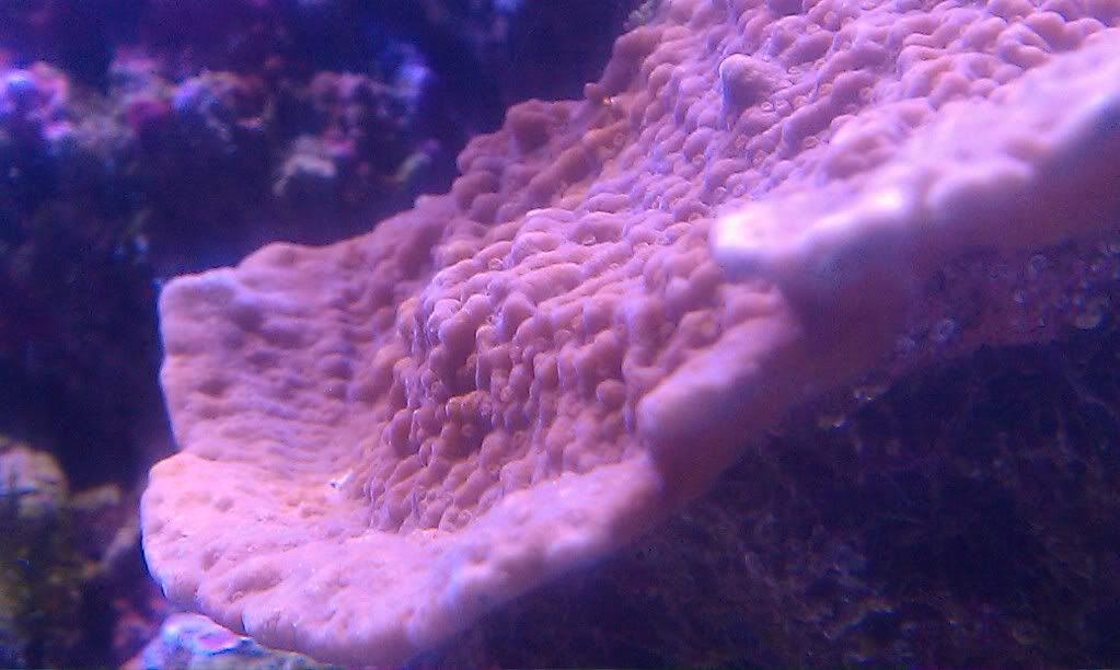 IMAG0179.jpg