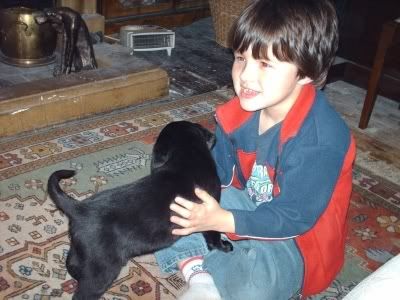 DylanPuppy2.jpg