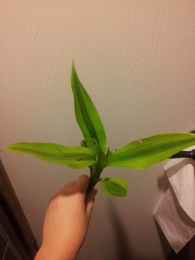 20120926_205513.jpg
