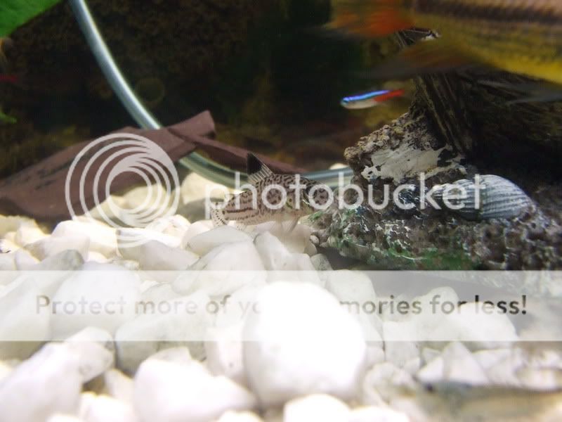 DSCF2355.jpg