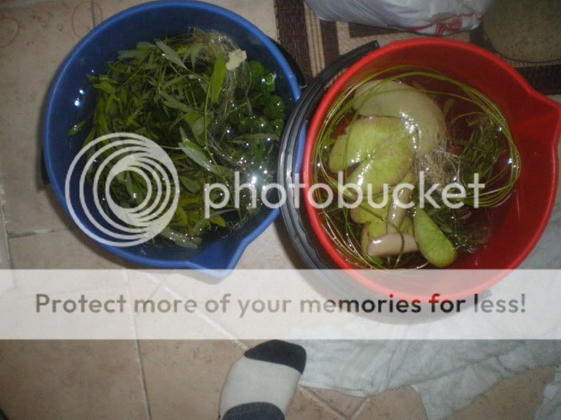 IMGP1839.jpg