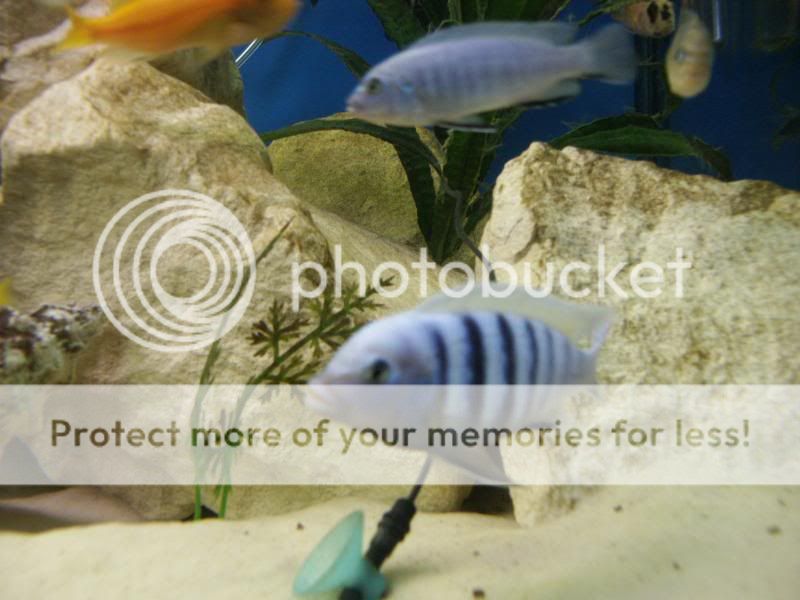 PICT0079.jpg