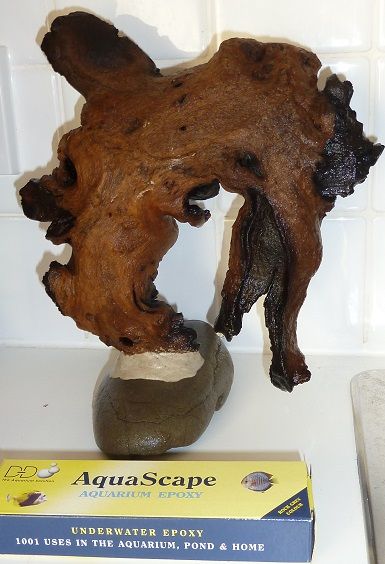 mopani_zps0ef0185d.jpg