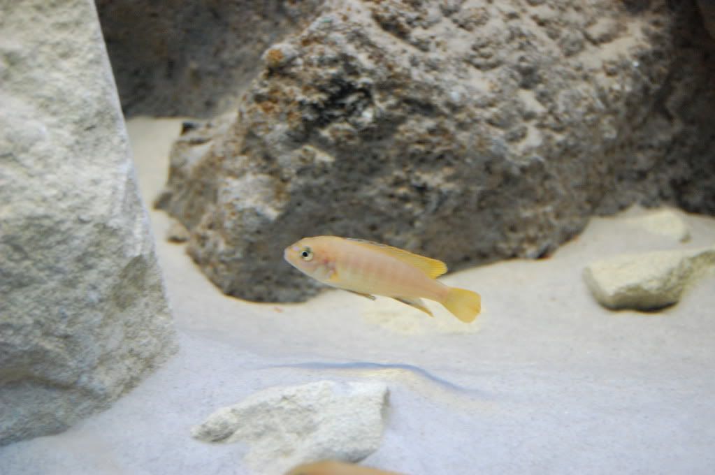 DSC_0235.jpg