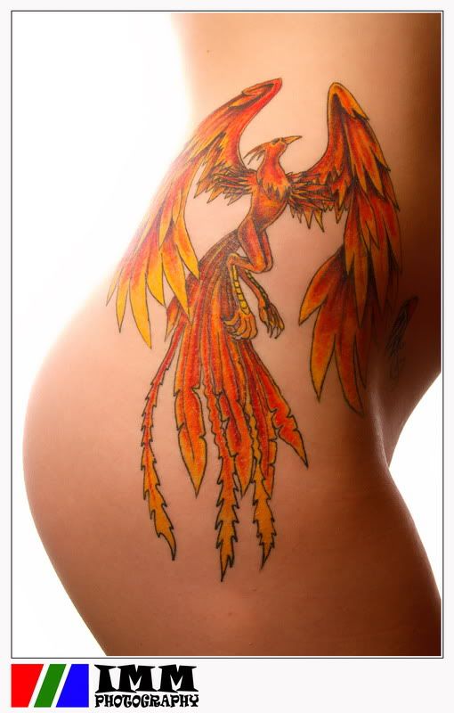 Phoenixbaby_1_resize1.jpg