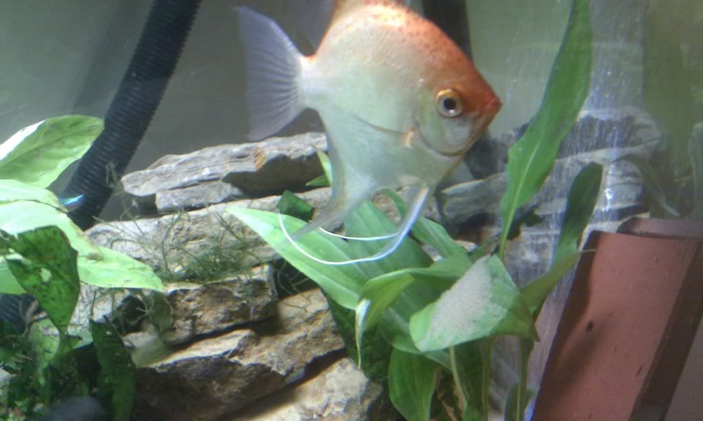 IMAG0109.jpg