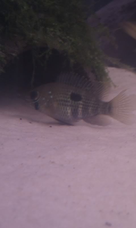 IMAG0490.jpg