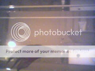 Picture2.jpg