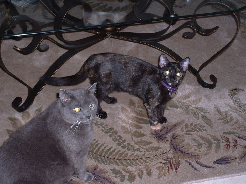 DSCF0016.jpg